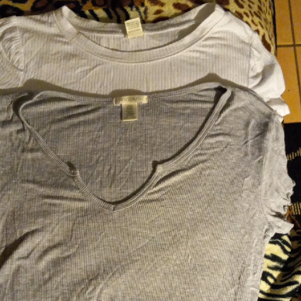 Bozollo Gray and White Crop Tops